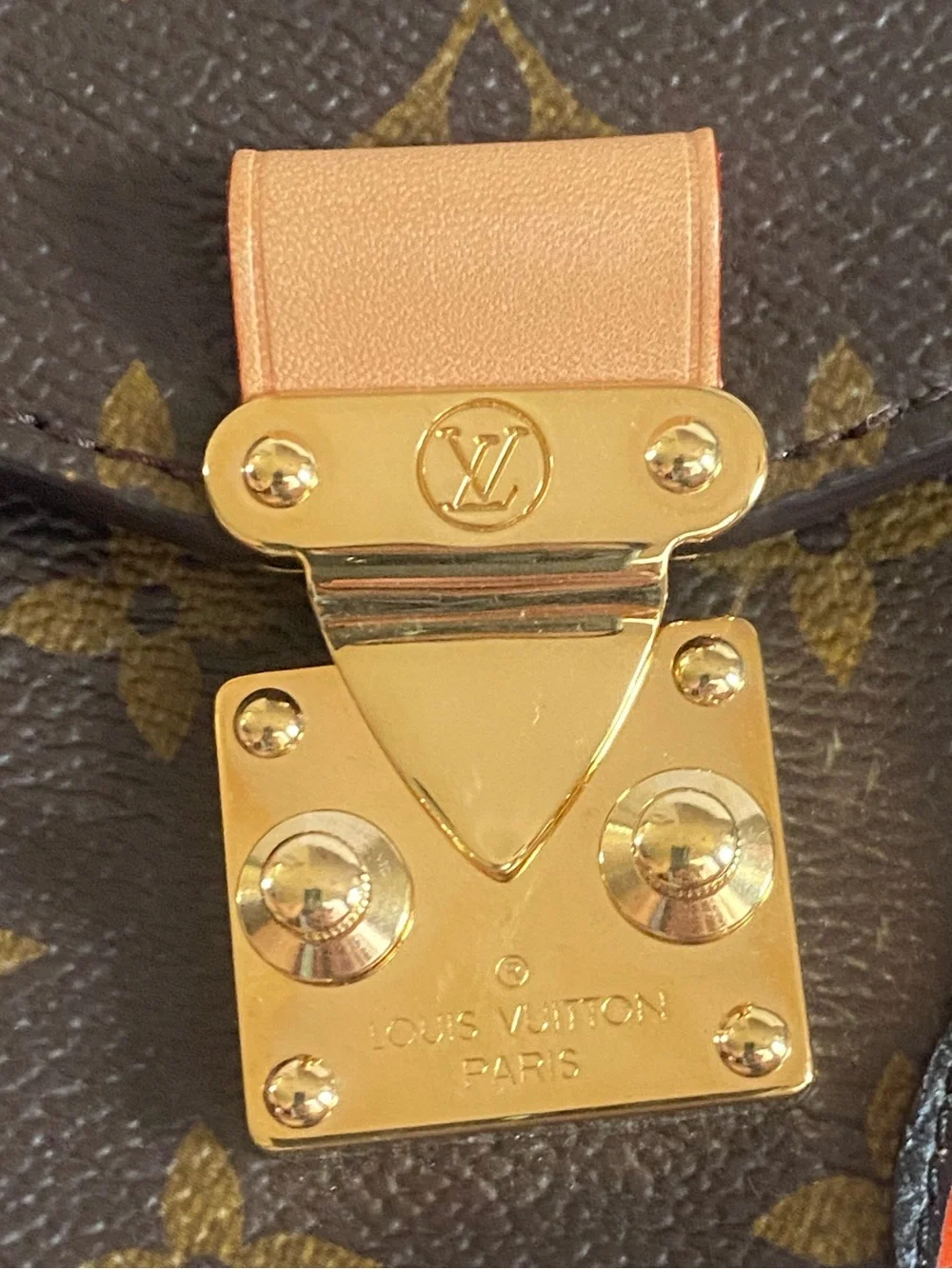 Louis Vuitton pochette Metis (tiger face)
